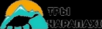 Лого Тры Чарапахi