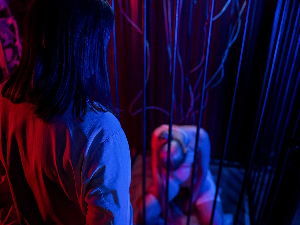 Квест Проект «Rabies» - фото 5/9