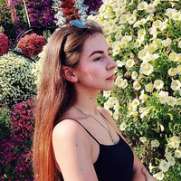 Аватар квестера