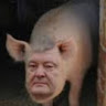 Аватар квестера
