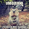 Аватар квестера