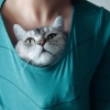 Аватар квестера