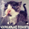 Аватар квестера