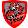 Аватар квестера
