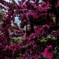 Аватар квестера