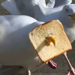 Аватар квестера