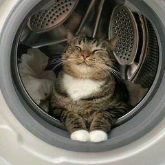 Аватар квестера